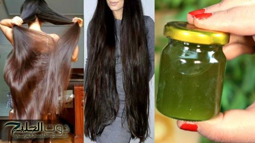 شعرك هيبقى حرير وطري كأنك لسه طالعة من الكوافير!.. عشبة سحريه مفعولها كالسحر لتنعيم الشعر وتطويله