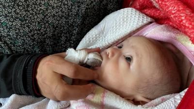 أخبار اليمن : أطفال غزة الرضع في خطر