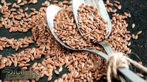 «عطار سعودي وصفهالي».. بذور سحرية المفعول تعيد شبابك حتي لو كنت بعمر 70 سنة