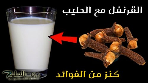 مستحيل تستغني عنه تاني .. 21 سببا كبيرا يجعلك تتناول منقوع القرنفل علي الحليب يوميا .. معجزة بكل المقاييس