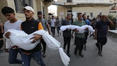 أخبار اليمن : 82 شهيداً في غزة خلال 24 ساعة