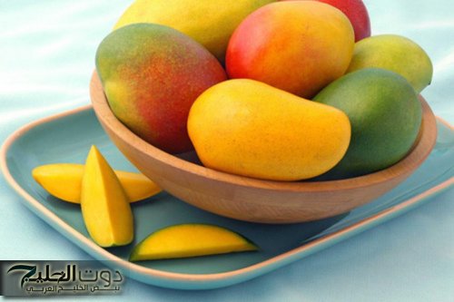 كنز الطبيعة الاستوائي لشباب دائم وصحة مثالية.. فوائد المانجا نكهة استوائية وفوائد طبية مبهرة