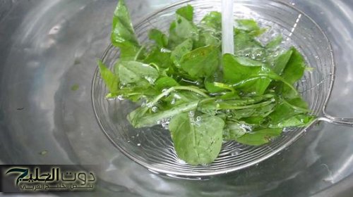 "أغلى من الياقوت".. مياه سلق السبانخ فيها 5 أسرار صحية هتغير حياتك.. " النتيجة بعد أول