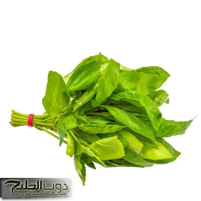 عشبة من الله لعبادة.. كنز رباني حقيقي لتفتيت حصوات الكلى بدون الم ومنع تكوينها مرة اخرى والنتائج خلال ايام