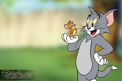 قناة تعرض توم وجيري 24 ساعة.. تعرف عليهـا