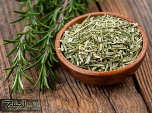 العشبة الربانية الجبارة التي أعادت الأمل والحياة للعجائز.. عشبة بسيطة مهملة موجودة في كل منزل دون أن تعلم