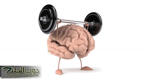 «وداعا للنسيان و أصبح ذكياً بشدة الآن؟» .. اليك هذه الطرق للتذكر وزيادة الذكاء فقط اتبعها هتخلي ذاكراتك شاب