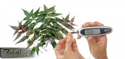 ملعقة واحده من هذه العشبة.. تنهي كل اوجاعك للابد .. اوراق هذه الشجرة معجزة ربانية كالسحر تنهي سكري الدم