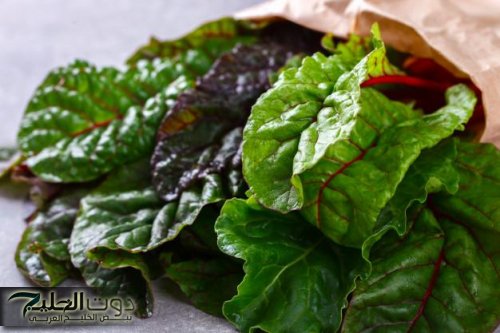 «نسيتي الدايت المعقد؟».. استخدمي السبانخ بالطريقة دي وحتشوفي جسمك بيخس من غير تعب ولا حرمان!