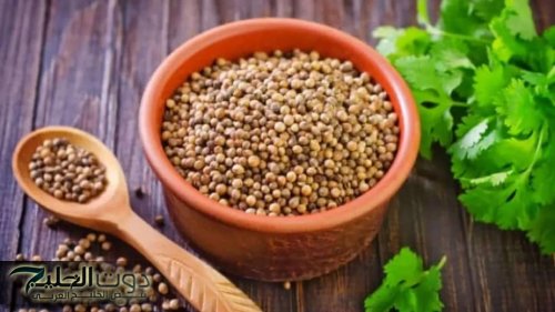 موجودة بكل بيت.. عشبة من السماء مهمله معلقة منها تفتت الحصوات وتضبط السكر التراكمي وتنظف الكبد من الدهون