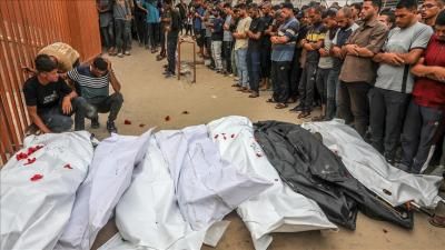 أخبار اليمن : ارتفاع عدد شهداء غزة إلى 58765