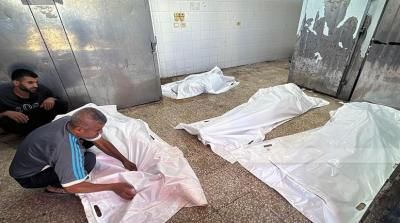 أخبار اليمن : ارتفاع عدد شهداء غزة إلى 58890