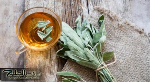 عشبة هدية من الله لعباده .. تخفض السكر التراكمي في الدم خلال دقائق وتحفز إفراز الأنسولين.. متوفرة في كل مطبخ