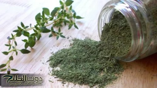 «العالم كله هيموت ويعرفها»…. عشبة مهملة في كل بيت يجهلها الجميع.. تعيدك شابا حتى لو كنت في الـ 70 من عمرك
