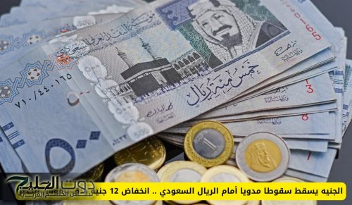 الجنيه يسقط سقوطا مدويا أمام الريال السعودي .. انخفاض 12 جنيه يدق ناقوس الخطر