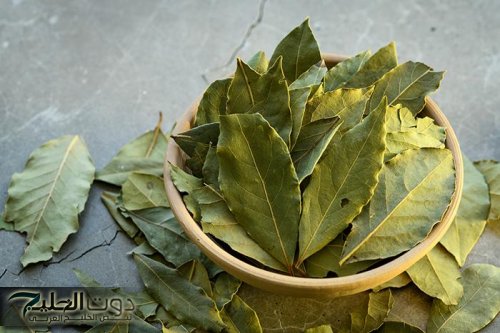 « مستحيل تخطر علي بالك فوائدة!! » تناول هذة العشبة يوميا وستعود إلى سن ال20 حتى لو كنت 70 سنة - هيبقي عود البطل