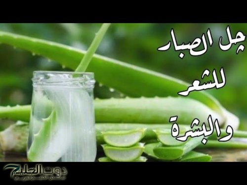 “مش هتستغنى عنه بعد النهاردة!”.. جل الصبار وفوائده المدهشة لبشرة صافية وجسم صحي هتلاحظ تأثيره المذهل