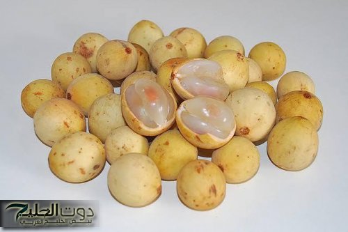 " السعودية والإمارات هيتجننوا بسببها " .. عشبة سحرية طعمها حلو تضبط مستوي السكر التراكمي في الدم