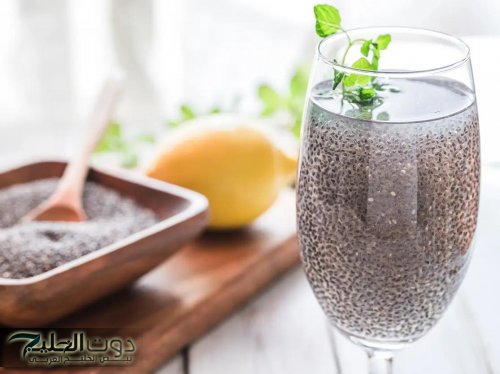 "احذروا بسرعة"... الإفراط في تناول بذور الشيا يصيبك بهذه الأمراض.. “ضاع عمرنا مانعرفش"
