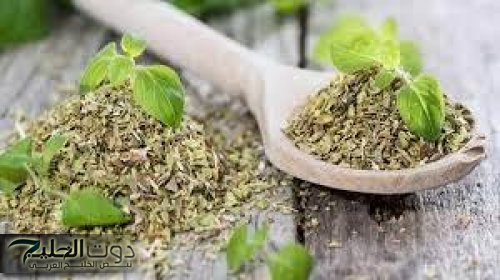 « معجزة ربانية لاتقدر بثمن » .. عشبة سحرية مهملة تحفز إفراز هرمون الأنسولين الطبيعي | تساعد في خفض سكر الدم