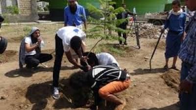 أخبار اليمن : انطلاق حملة تشجير في شوارع ومداخل صنعاء
