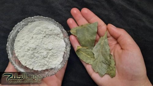 «الهنود كانوا مخبينها عننا»!!... وصفة كريم النشا وورق الغار للقضاء على التجاعيد هترجعي شباب حتى لو عمرك فوق70