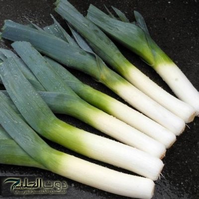 "زارعينها في الغيطان والجناين".. عشبة سحرية تخفض معدل السكر بالدم وتعتبر الحل الأمثل لـ التهاب