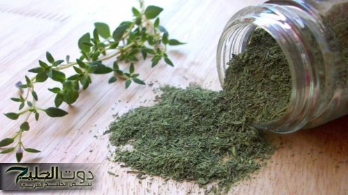 «الفرصة لسه قدامك» .. لو عايز تحافظ علي صحتك لحد سن الـ 70 استخدم هذه العشبة المهملة وانسي انك هتروح لدكتور