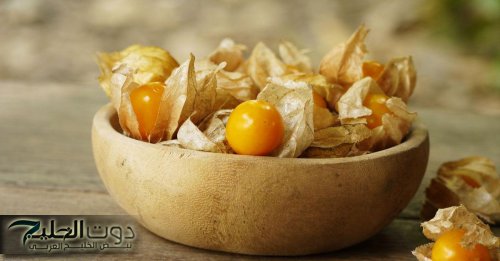 «أهمهم الشيب المبكر».. 10 فوائد صحية لتناول الحرنكش على الريق| إزاي كانت غايبة عننا