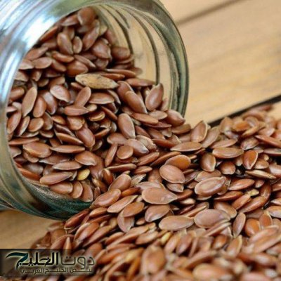 “معجزة من السماء”.. بذور سحرية مهدور قسمتها وسعرها 20 جنيه هترجعك شباب حتى لو عمرك فوق الستين