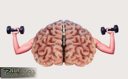 معجزة ربانية بكل المقاييس .. نبات طبيعي مهمل يغذي المخ يحسن بنية الدماغ يقوي الذاكرة أقوي علاج لضعف التركيز