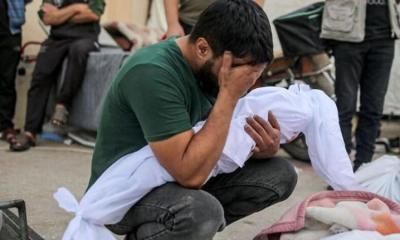 أخبار اليمن : ارتفاع عدد شهداء غزة إلى 61599