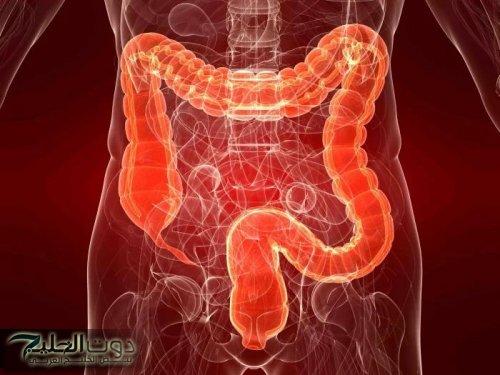 «في دقائق معدودة القولون هينضف وهترتاح من كل مشاكلك!».. عشبة بسيطة ومجانية في بيتك تذيب البراز المتحجر