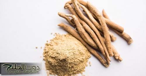 معجزة نزلت من السماء .. عشبة طبيعية تقوي الذاكرة وتعيد بناء خلايا المخ الميتة وتحمي من الزهايمر والخرف