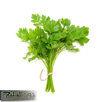 كنز رباني لا يقدر بثمن .. عشبة طبيعية تسمي “الخلود” موجودة في كل مطبخ فوائدها أغلي من الذهب عند استخدامها