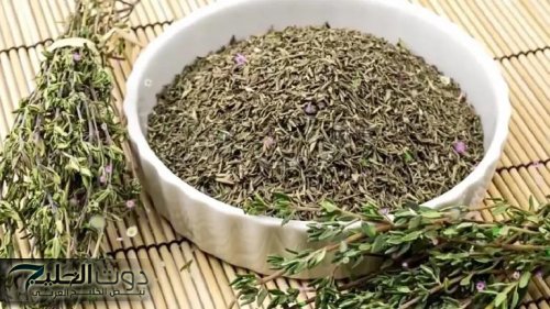 «معجزة ربانية بكل المقاييس».. عشبة بسيطة مهملة قادرة على إعادة شبابك حتى لو عمرك 70 سنة وبعكاز.. النتيجة فوق الخيال