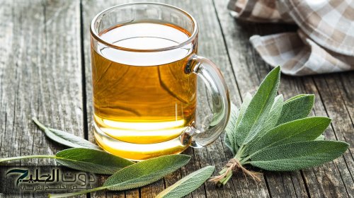 "هترمي الادوية في الشارع".. عشبة رخيصة الثمن توجد في كل بيت / تضبط مستوى السكر في الدم