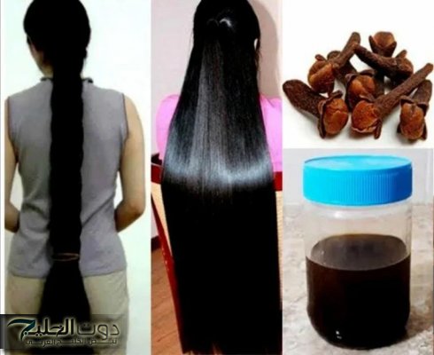 «تعلمي طريقة جهنمية» لاستخدام الفازلين والقرنفل لتطويل الشعر والقضاء على الصلع في 7 أيام فقط.. جربيها فورًا