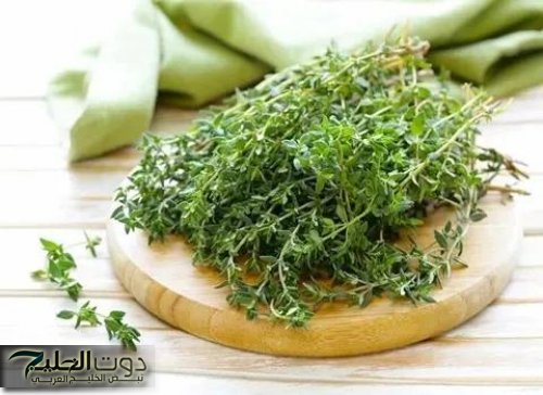 «الفرصة لسه قدامك» .. لو عايز تحافظ علي صحتك لحد سن الـ 70 استخدم هذه العشبة المهملة وانسي انك هتروح لدكتور