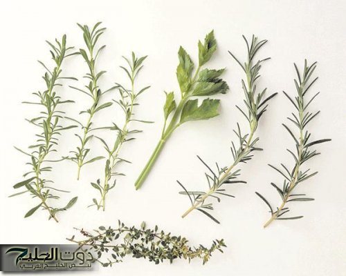 ” الفرصة لسه قدامك ” .. عشبة سحرية برخص التراب تنظف الكلى وتعيد إحياء الكبد وتخفف آلام المفاصل والروماتيزم