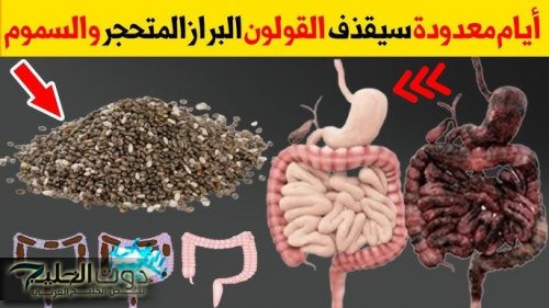 «الصين وكوريا بيدور عليها».. عشبة جبارة ربانية متواجدة في كل منزل تجعلك تتخلص كافة مشاكل القولون