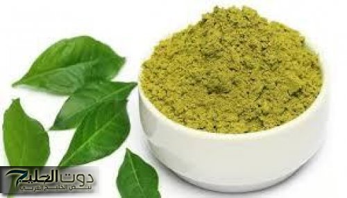 "العالم كله لازم يعرفها" .. فتاة مصرية تكشف عن عشبة سحريه برخص التراب تمنع ارتفاع الكولسترول