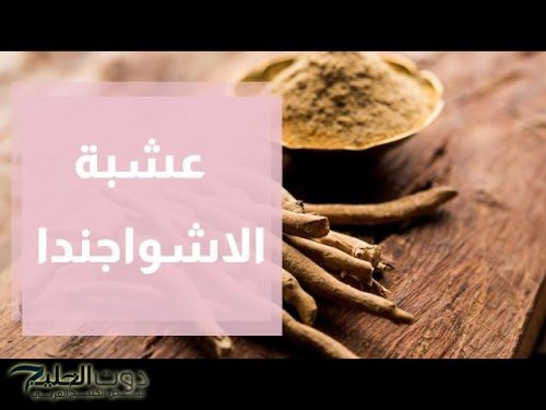 معجزة نزلت من السماء .. عشبة طبيعية تقوي الذاكرة وتعيد بناء خلايا المخ الميتة وتحمي من الزهايمر والخرف