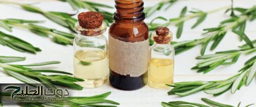 «البديل الأرخص من علاجات الشعر الغالية!».. اكتشفي قوة الروزماري في إنبات الشعر ومنع التساقط!