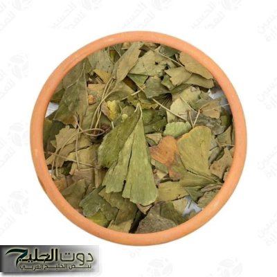 فوائد من كترها مش هتعرف تعدها… تعرف على العشبة العجيبة المهملة التي تقوى الذاكرة وتعيد الشيوخ شبابًا بفترة