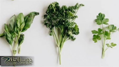 «كنز رباني لا يقدر بثمن».. عشبة سحرية تقضي على آلام الشديد بملعقة واحدة فقط!! – ياريتني عرفتها من زمان