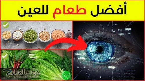«لو بتعاني من ضعف النظر؟».. اعرف أسرع الأطعمة اللي هتدعم صحة عينيك وتحسن الرؤية بشكل طبيعي ومضمون!