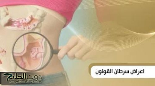 احم جهازك الهضمي من غير دواء ثمانية أطعمة تقوي القولون وتحميه من الأخطار