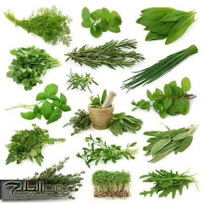 «فوائدها تخطت حدود القارات عشبة سحرية في مطبخك تطهر القولون وتزيل البراز المتحجر!»… فوائدها تخطت الحدود!