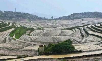 أخبار اليمن : تحذير من عواصف رعدية وسيول